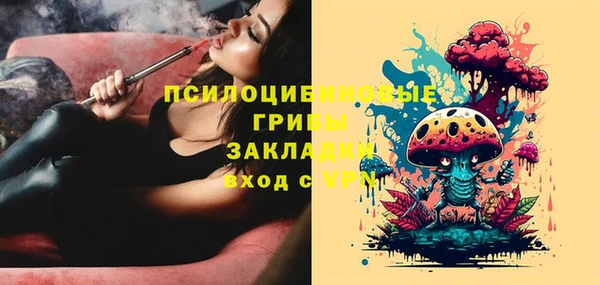 герыч Бородино